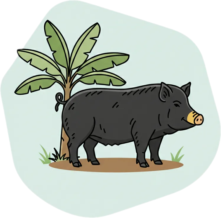 Illustration of "baboy" (pig; pork)