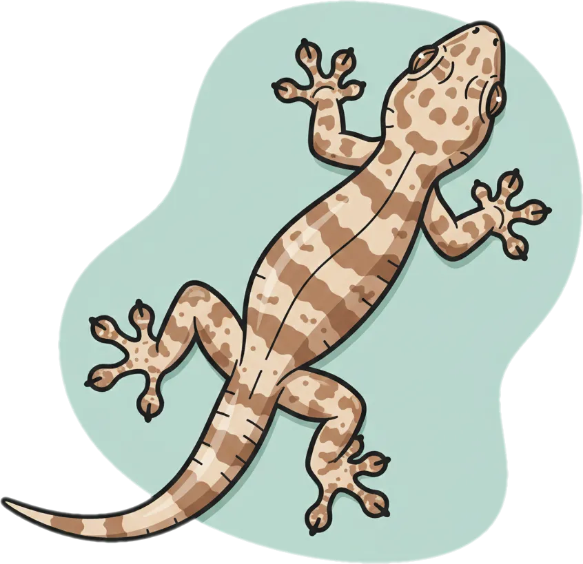 Illustration of the root word "butiki" (house lizard)