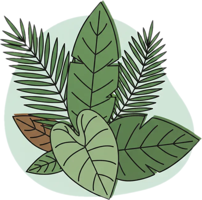 Illustration of "dahon" (leaf)