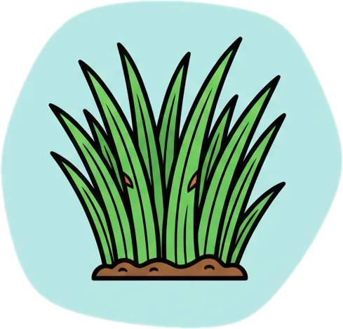 Illustration of the root word "damo" (grass)