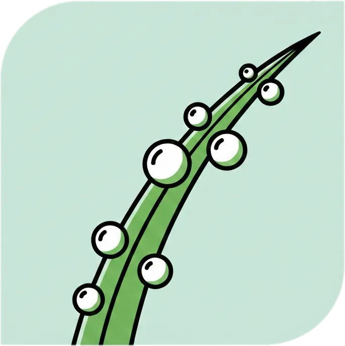 Illustration of "hamog" (dew; mist)