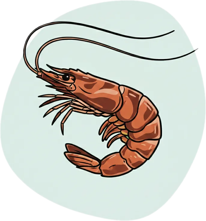 Illustration of the root word "hipon" (shrimp)