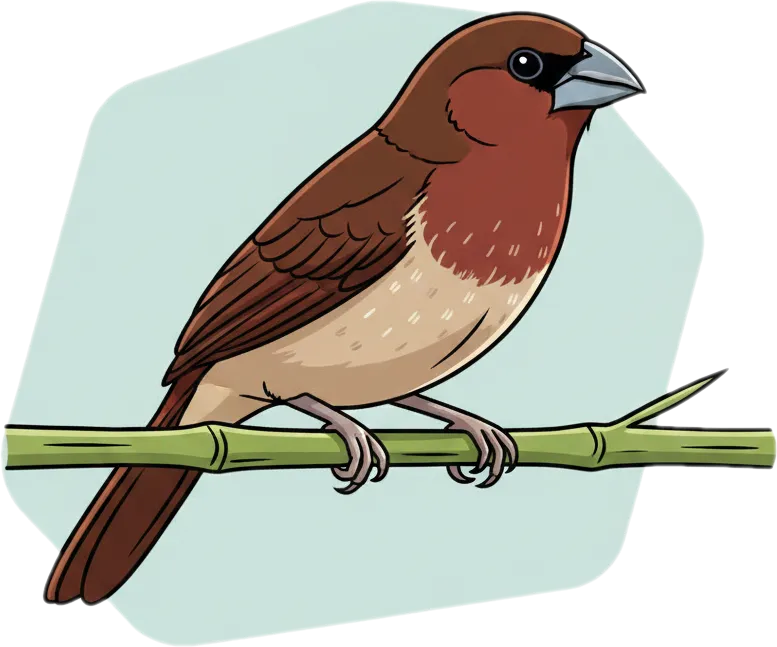 Illustration of the root word "ibon" (bird)