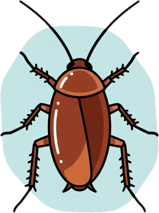 Illustration of the root word "ipis" (cockroach)