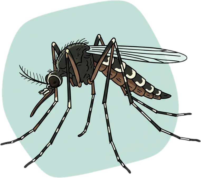 Illustration of the root word "lamok" (mosquito)