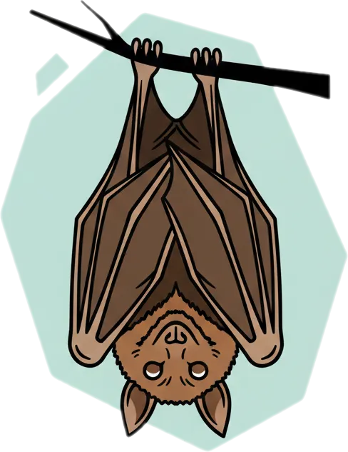 Illustration of the root word "paniki" (bat)