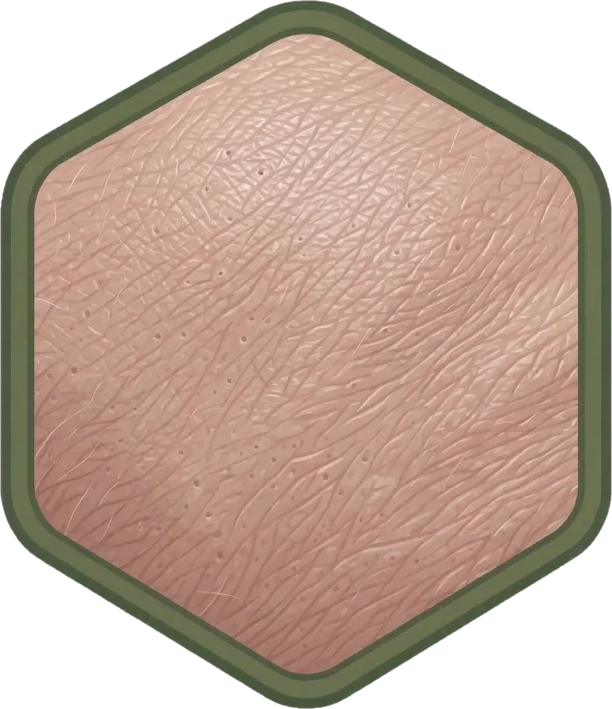 Illustration of "balat" (skin)