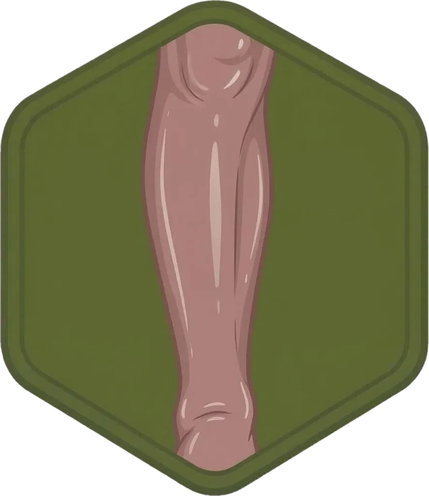 Illustration of "binti" (calf (of the leg))