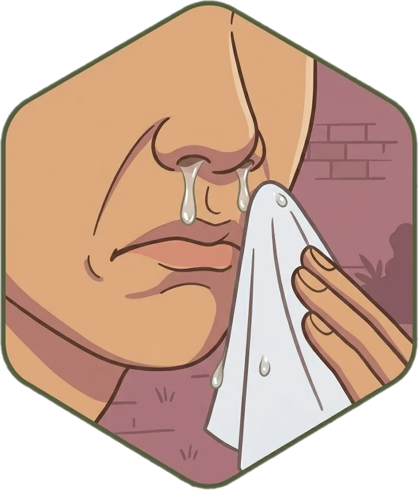 Illustration of "sipon" (common cold)