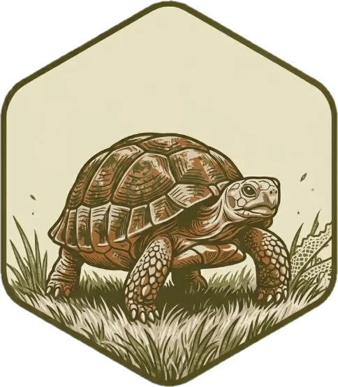 Illustration of "mabagal" (slow)