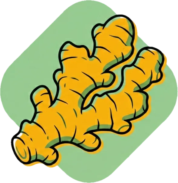 Illustration of "luya" (ginger)