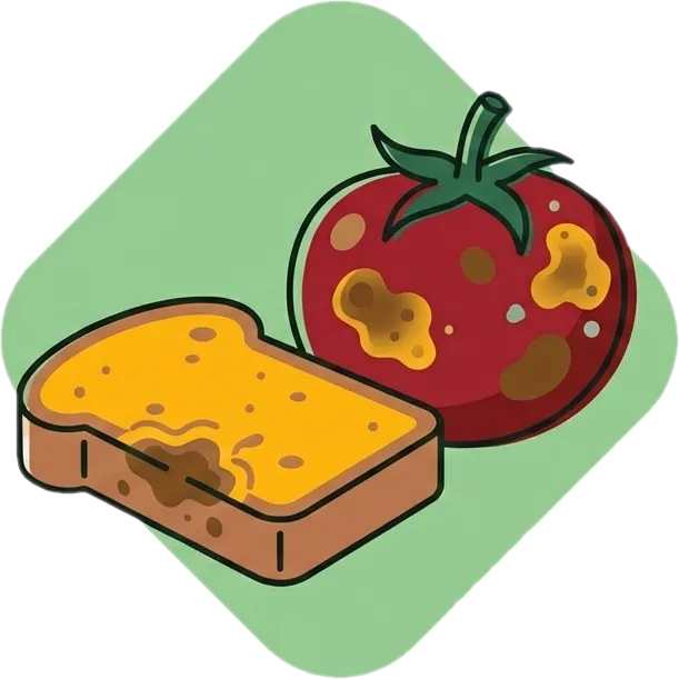 Illustration of the root word "panis" (spoiled; stale (food))